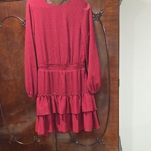 Express Red Casual Dress